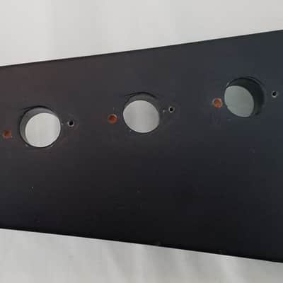 Epiphone Goth Thunderbird Neck image 3