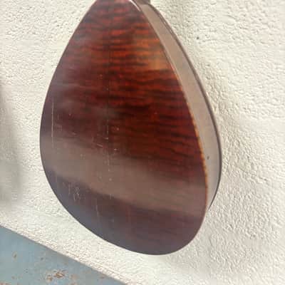 Weymann mandolin (mandolute) style 30 app. 1913 image 9
