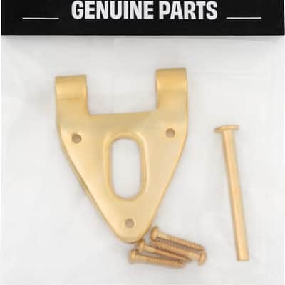 Bigsby Conventional Hinge w/ Hinge Pin and Screws, Gold, 180-0038-006 image 2