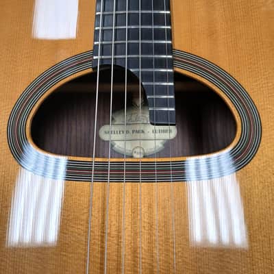 2024 Shelley D Park Rare Non-Cutaway Gypsy Jazz w/ Structured Gig Bag image 14