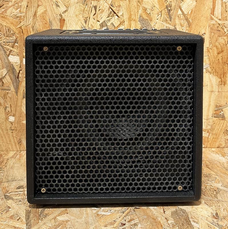 Pre Owned AER Alpha 40 Acoustic Combo Inc. Bag image 1