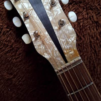 Very Rare Vintage 1950s Isana Jsana "Elvis Presley" Archtop Jazz Guitar Made In Germany image 3