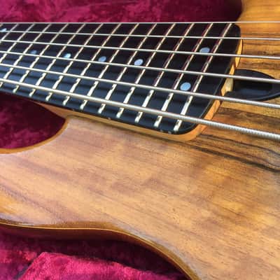 Beautiful Wal MK3 6-String Bass - Shedua Facings, Mahogany core, Indian Ebony fretboard - NICE! image 5
