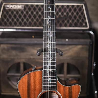 Taylor PS14ce-N Honduran Rosewood/Sinker Redwood Nylon Acoustic/Electric Guitar with Hardshell Case image 4