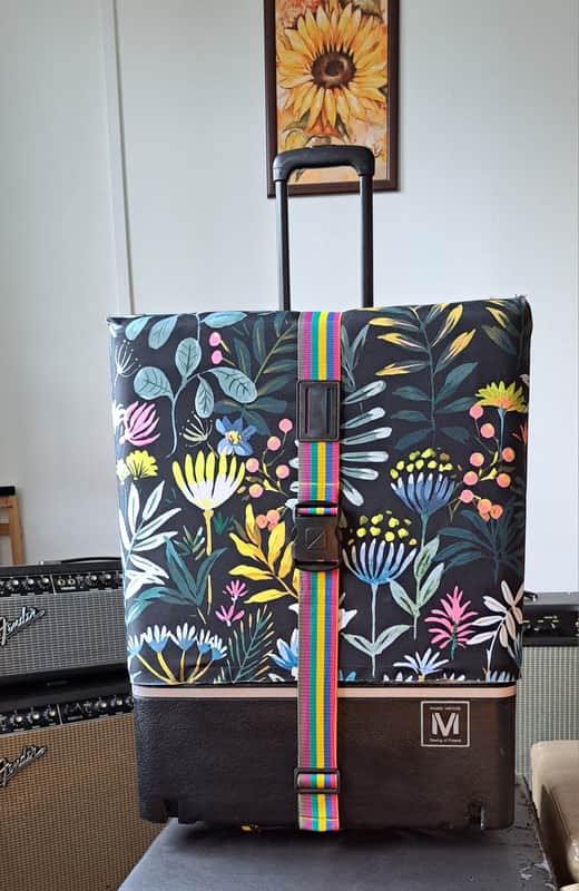 Music Vehicle TR1 - lightweight personal hard case image 1