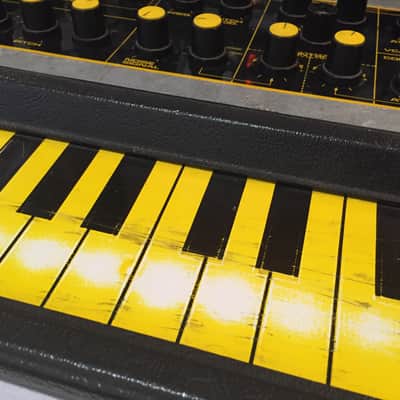 Electronic Dream Plant WASP 1980s owned by Steve Albini image 6