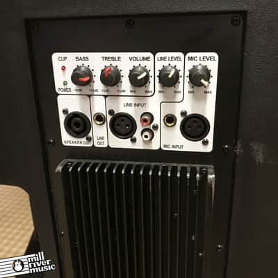 Edison Powered 15" PA Speaker / Monitor image 6