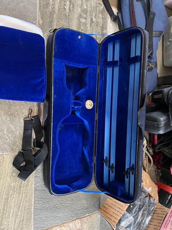 violin case. Full size image 1