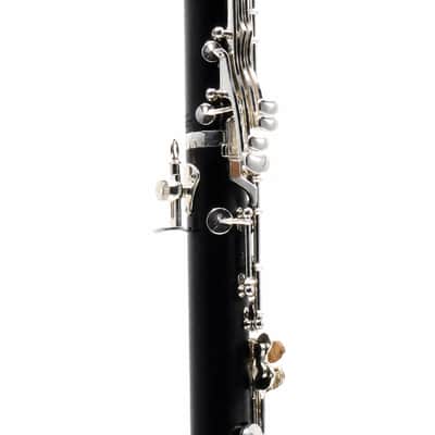 Backun BCLBPROTG-SK 'Protégé' Intermediate Bb Clarinet in Grenadilla SN PZ-10015 image 11