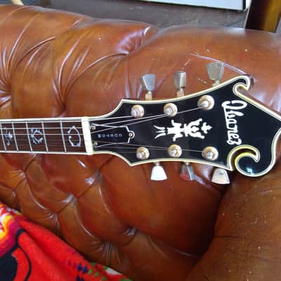 Vintage 1976 Ibanez Custom Agent 2405 w/Case image 5