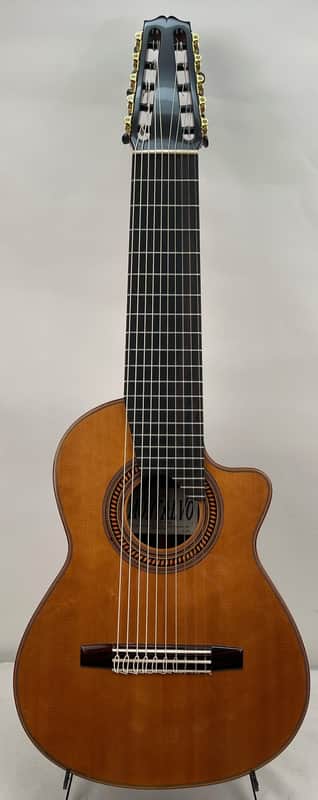 Montalvo 10 String Classical Guitar 2023 - Nitro Gloss image 1