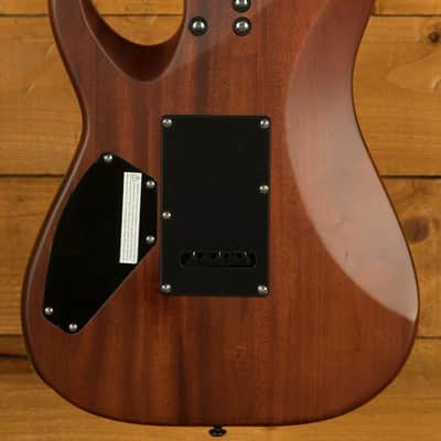 Schecter C-1 Exotic Spalted Maple - Satin Natural Vintage Burst image 2