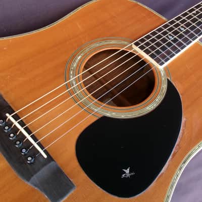 1982 Yairi D 35 YW-500P - Bargain! image 19