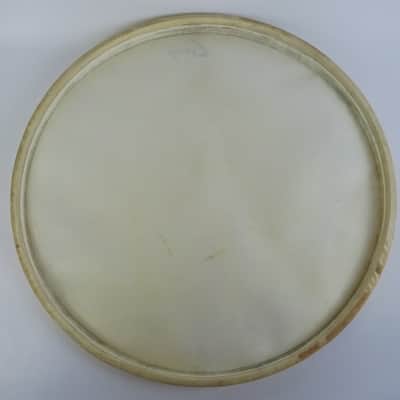 Leedy 22"Calfskin Resonant Logo Bass Drum Head Slingerland Vintage 50s EXCELLENT image 3