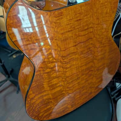 Wechter Pathmaker 3135 Acoustic Electric Guitar image 6