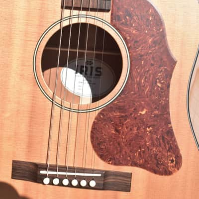 Iris Guitar Company DF Natural 1-3/4" image 8