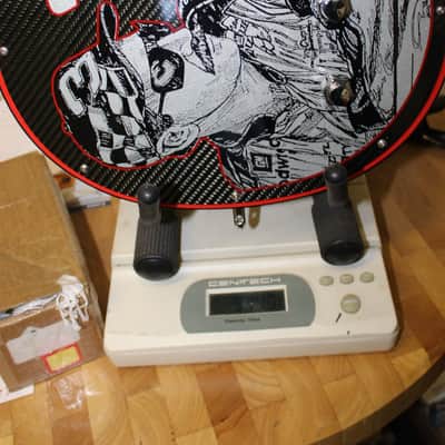 Gibson Les Paul Dale Ernhardt Custom Shop 129 of 333 - Graphics image 19