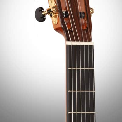 Cordoba C12 SP Classical Acoustic Guitar, with Case image 8