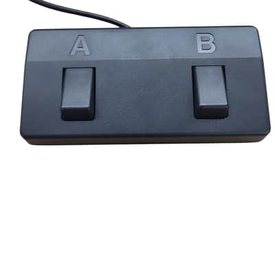 Roland 2-Button Footswitch for Acoustic Singer Amps (Live and Pro) image 1