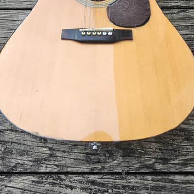 Recording King RD-06 Solid Top with mods. image 2