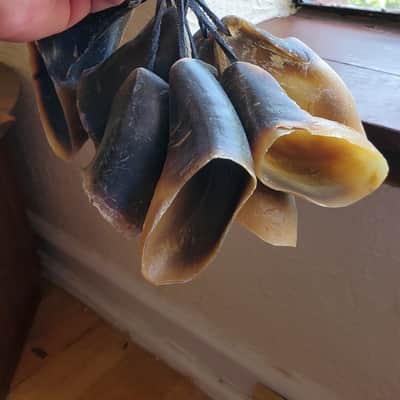 Hoof Rattles Set of 2 image 5