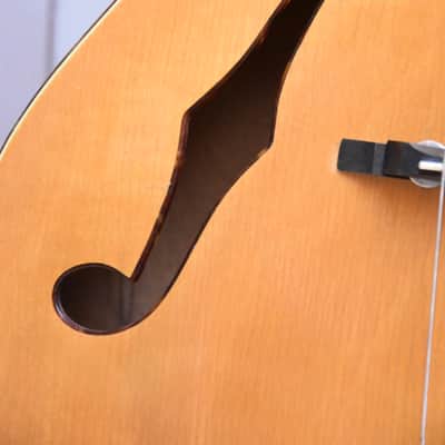 Rodebald Hoyer Jazzstar – 1950s German Vintage Archtop Jazz Guitar / Gitarre image 5