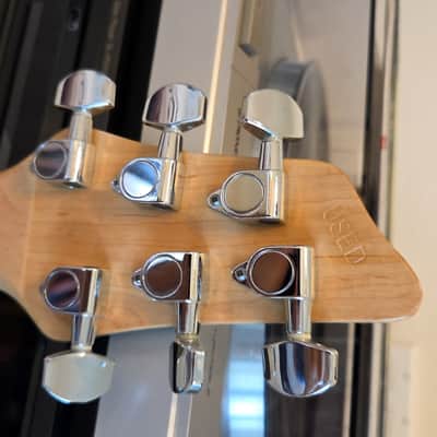 Washburn BT-2 Maverick Series, VG+, Epiphone P-Ups image 9
