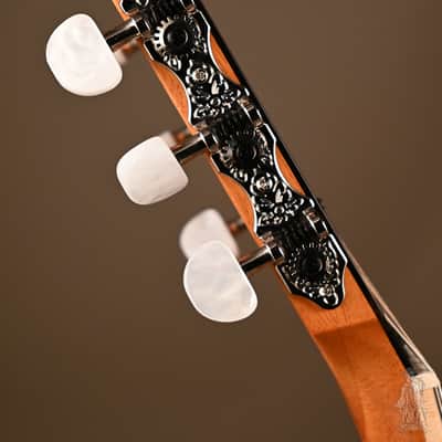 Taylor image 13