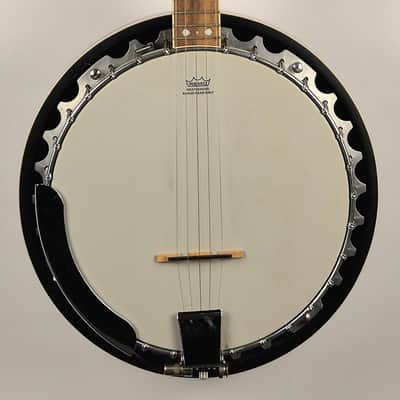 Fender FB-54 5 String Banjo With K&K Pickup and Hard Shell Case image 2