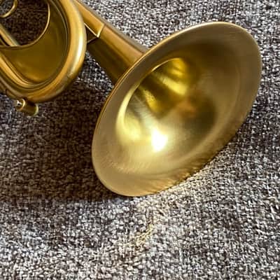 🔥 Monette RAJA Trumpet – GOLD PLATE – Immaculate Condition – Extremely Rare image 8