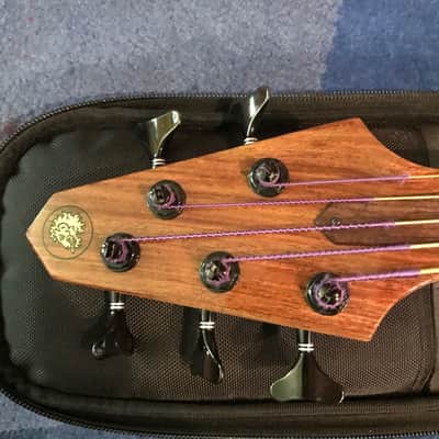 Rick Turner RB5 Fretted 2015 Gloss Renaissance Bass image 10