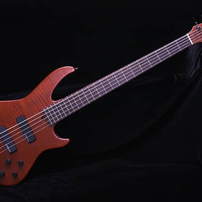 Godin BG5 5 String Bass image 1