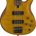 Yamaha TRBX604FM 4-String Bass Guitar, Rosewood Fingerboard, Matte Amber