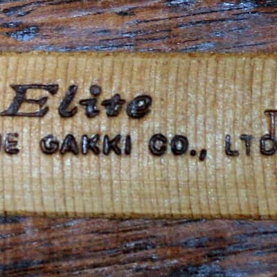 1976 Takamine Elite TW100 Jacaranda Body Natural+Vintage Hard Case image 23