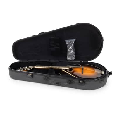Used Northfield NFMSP-A4 Mandolin Sunburst 2023 image 10