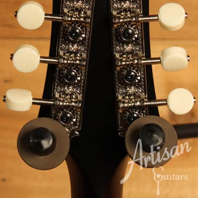 Collings MT Mandolin Gloss Torrefied Sitka Top w/ Ivoroid Bindings image 5