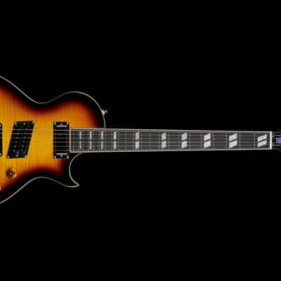 Epiphone Nancy Wilson Fanatic Outfit (#318) image 14