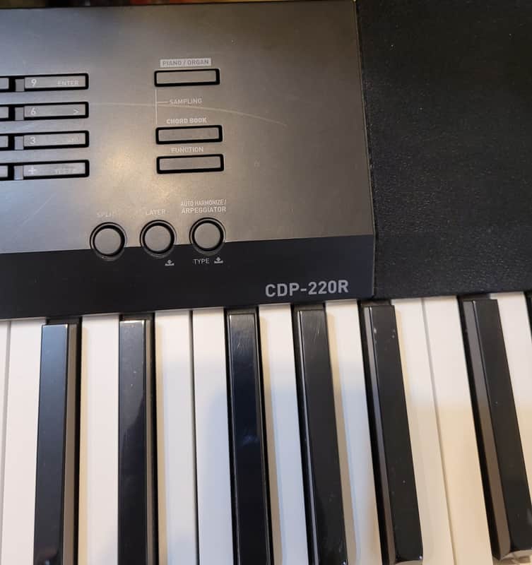 Casio CDP-220R 88-Key Digital Piano | Reverb
