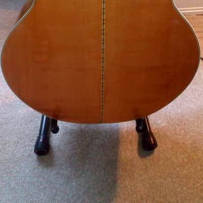 Epiphone FT-570BL Sheraton Acoustic 1973/1974 Blonde/Natural image 3