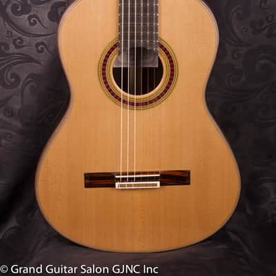 Otto Vowinkel 1A Concert Guitar , Cedar/Brazilian rosewood B & Sides image 7