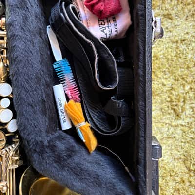Alpine Alto Saxophone Brass, with case/neck/mouthpiece image 1