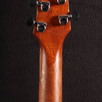 Godin xtSA 2007 - Sunburst image 11