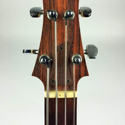 Ampeg Dan Armstrong Prototype 1967 Lucite image 5