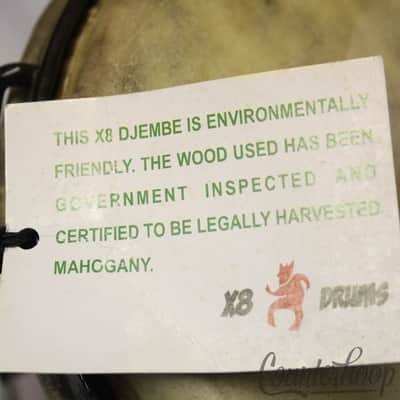 *X8 Bongo Drums + LP Stand Mount 8x7,6.5x7 Latin Percussion Natural Wood Shells* image 3