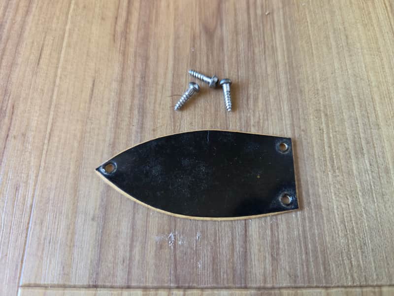 Vintage Early 1960's Gretsch Guitar Truss Rod Cover w/ Mounting Screws! image 1