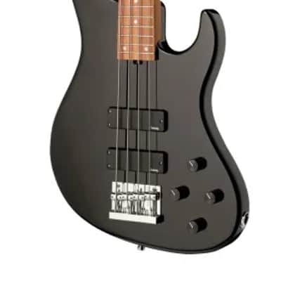 Sadowsky MetroExpress 24-Fret Modern Bass, Morado Fingerboard, 4-String - Solid Black High Polish image 4