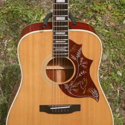1976 Jagard Hummingbird Model GB-300HN MIJ by Terada Gakki+Hard Case image 3