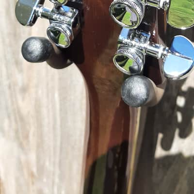 Epiphone Les Paul Standard Plus Top with Bigsby Completely Upgraded image 24