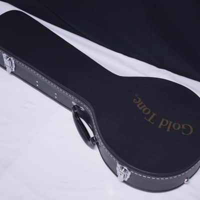LUNA Moonbird A-style Mandolin NEW acoustic/electric Black Satin w/ Case image 2