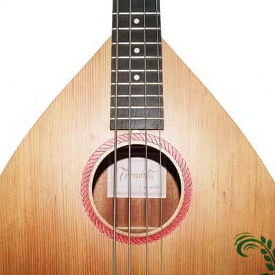 Ukrainian Folk Music 4 Strings Bass Guitar Kobza made in Ukraine by Trembita Natural Wood Hand Painted Rich and Powerful Sound! image 2